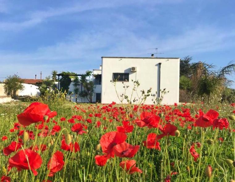 Villa Sara Di Puglia Castellaneta Exterior foto